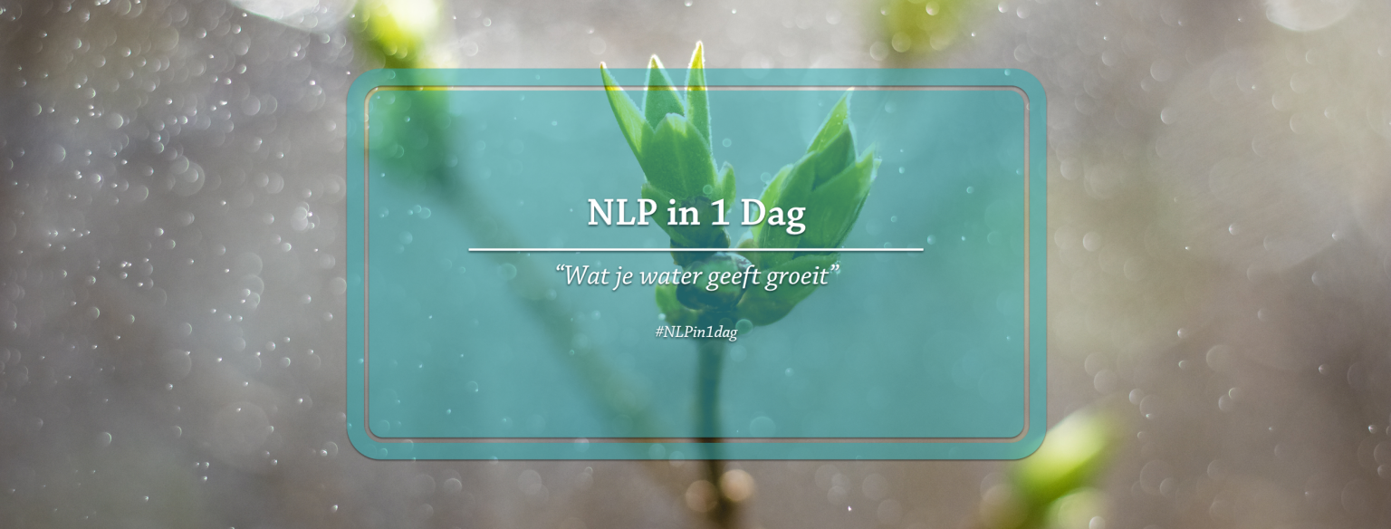Maak kennis met De eerste verdieping - erkende NLP trainingen en opleidingen